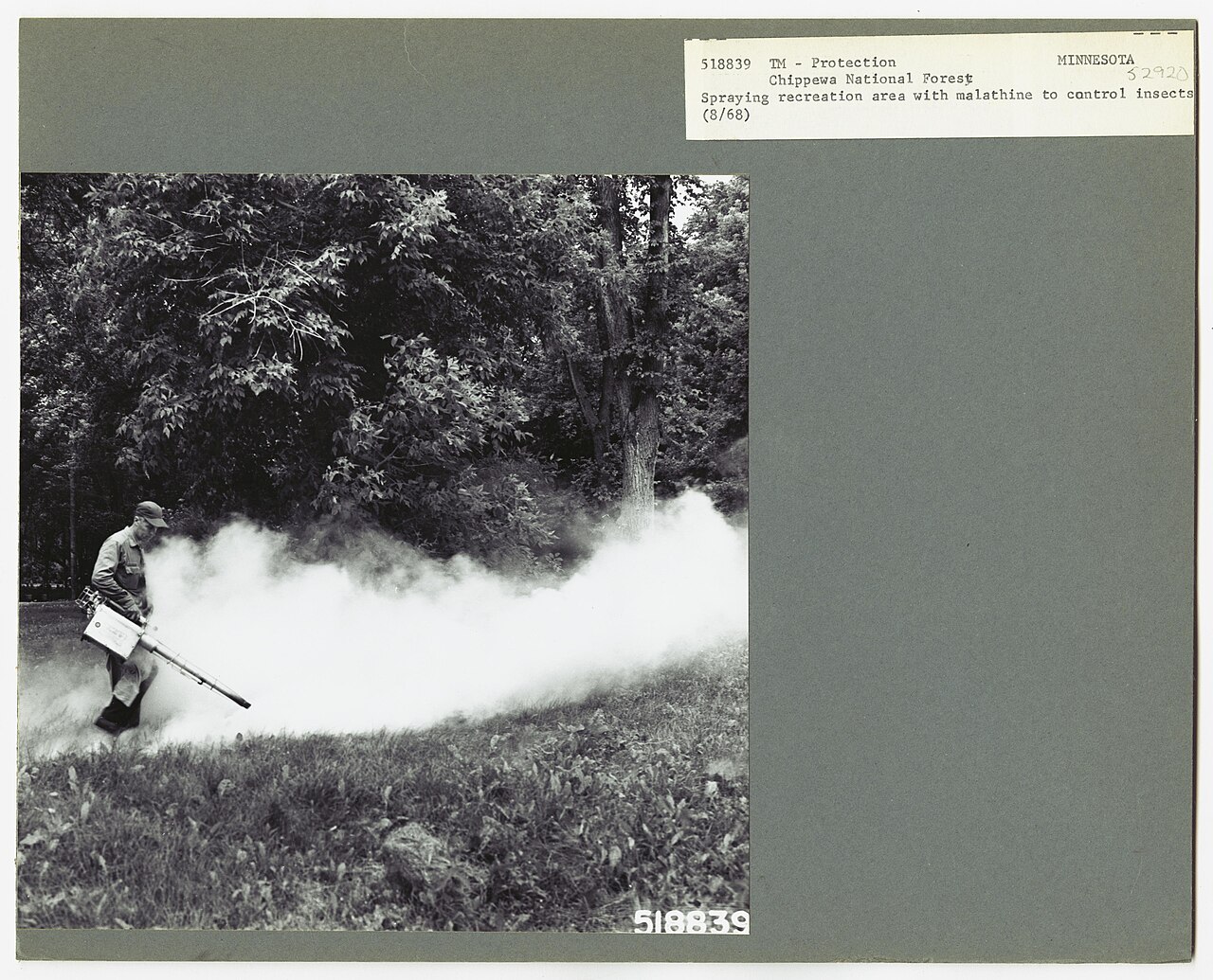 Vintage pest control spray equipment in use outdoors