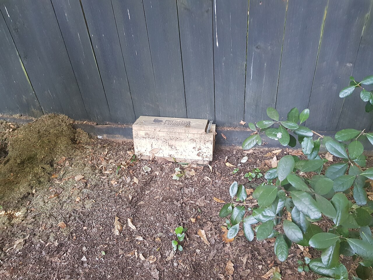 Outdoor rodent control station near a fence line